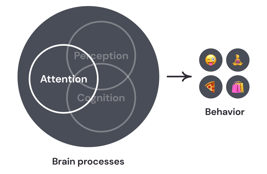 Infographic of how attention, perception, and cognition overlap and how this gives rise to observable behaviors